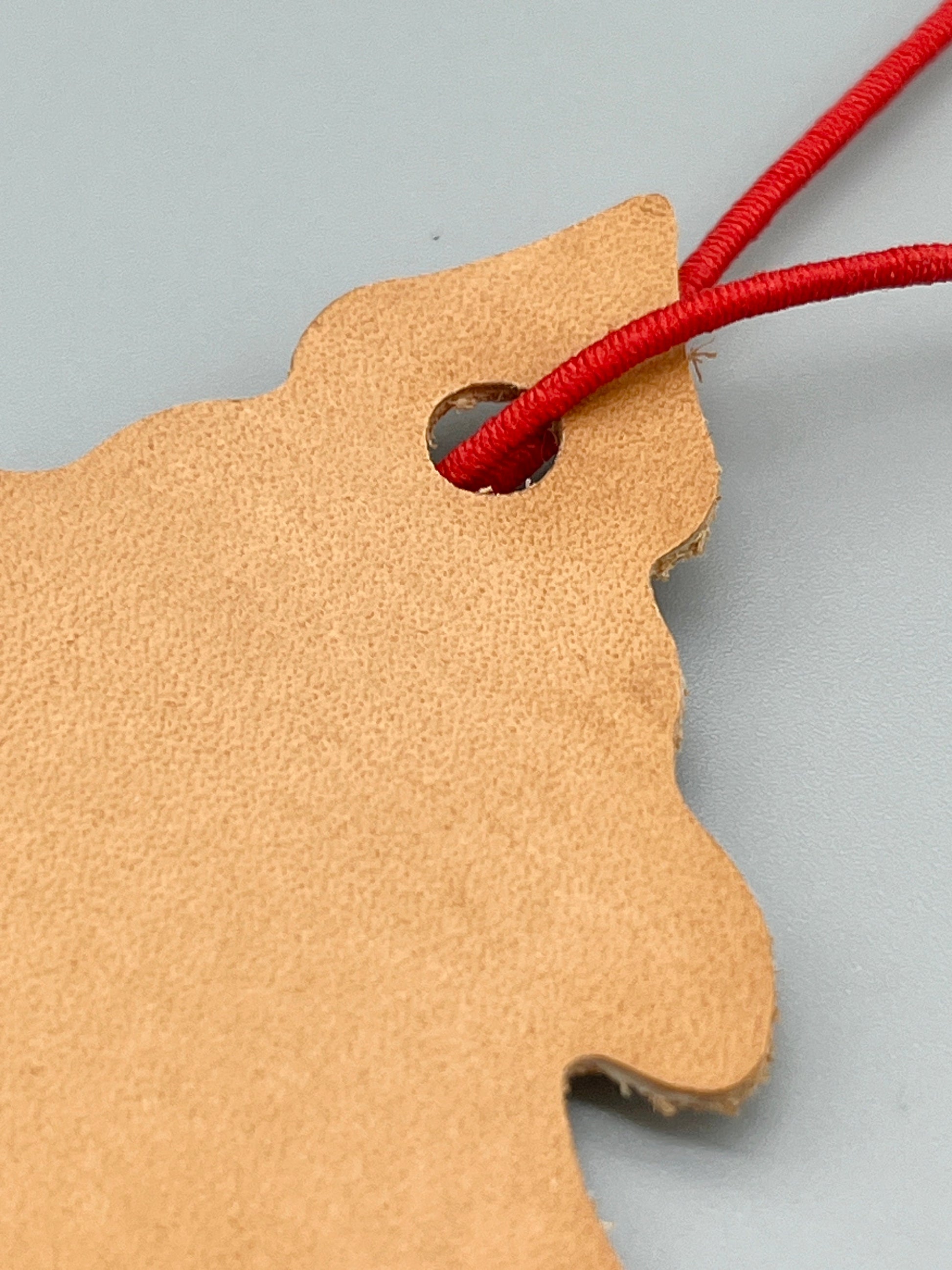 Closeup of a leather car freshener